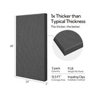 Olanglab Sound Absorbing Acoustic Wall Panels 2 Pack  2   24  x48   Fiberglas   