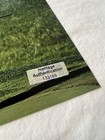 Tiger Woods 2008 Us Open Winning Shot Autographed 8x10 Photograph W coa