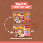 Purina  Extra Gravy Wet Cat Food Chunky 24ct Variety Pack  with Chicken  Turkey 