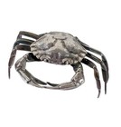 Spanish 915 Silver Crab Salt Cellar With Gilt Interior