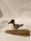 Another Pacific Loon Carved Marked Driftwood Studio Eastport  Me 4 5  Long