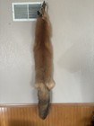 Tanned Red Fox  Winter    heavy Fur    Western - Premium Grade Xxl Size