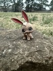 Littlest Pet Shop Custom Rabbit Bunny Lps Ooak Hand Painted