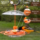 Ofp1 Oriole Buffet Feeder  Orange  Nectar  Jelly  Fruit  Ant Moat