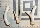 Large Midgrade Natural Deer Antler Dog Chews  big_buck_bites_llc 