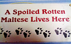 Maltese Wood Sign -  a Spoiled Rotten Maltese Lives Here  - 5l X 11w - Cute   