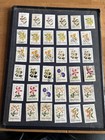 Argentina Lot Of 82 Mint And Used Stamps