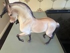 Breyer  1885 Traditional Cossaco Buckskin Lusitano Nib Anamar