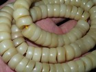 Large Nepal Tibet Buddhist 108 Button Shaped Yak Bone Mala Prayer Beads  t6 