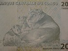 Congo Banknote 20 Francs Loin Lioness W  Cubs Paper Money Neat Lion Note