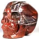 5 0  Petrified Wood Carved Crystal Skull  Realistic  Crystal Healing