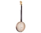 Gold Tone Cc-carlin12 Signature Series 12  Clawhammer Banjo - Open Box