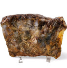 Plume Agate Slab Oregon 116 7 Grams 