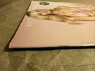 Victoria   s Secret Catalog Instant Updates 2012