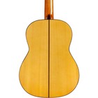 Cordoba F10 Nylon String Acoustic Guitar Natural
