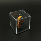 1 6 Scale Display Case Dust Proof Box Cover Model Toy F Male female Head Sculpt
