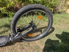 Kickbike Cruise Max