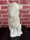 Stunning Rare Antique Staffordshire Mantle Poodle Dog 8 5    High