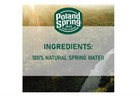 Poland Spring 100  Natural Spring Water  16 9 Fl  Oz   40 Pk  