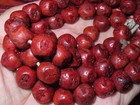 54x Nepal Tibet Buddhist Phoenix Eyed Bodhi Palden Lhamo Dice Prayer Beads  b7 