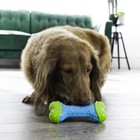 Kong Corestrength Bone - Dog Dental Chew Toy - Small medium  Green And Blue
