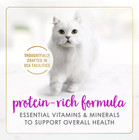 Fancy Feast Adult Classic Pate Wet Cat Food - Beef   Liver  3 Oz  105 Cans