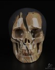 Skullis 2 0  Dinosaur Egg  Agate Hand Carved Crystal Skull  Realistic