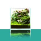 Uns 16c - 1 Gallon Ultra Clear Rimless Aquarium