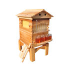 Auto Bee Hives Beekeeping Box Comb Honey House  7 Beekeeping Frames   Hive Stand