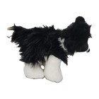 Webkinz Border Collie  hm413 Ganz Black And White Plush Dog   No Code 
