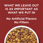 Purina  Complete Adult Dry Dog Food  High Protein Real Beef  44 Lb Bag