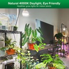 2pcs Led Grow Light Bulbs Full Spectrum Indoor Plant 36w 400w Hydroponics Sansi