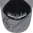 Autographed Hat Fanatics Authentic Coa Item 14579637