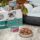Special Kitty Surf   Turf Pate Wet Cat Food Variety Pack  5 5 Oz Cans  40 Pack 