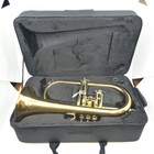 Acb Case Blowout  Austin Custom Brass Small Bell Flugelhorn Case  Lot Cs23