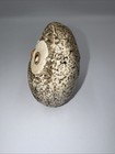 Vintage Textured Owl Figurine 3 5  Japan Retro Bird