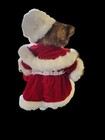Vintage 21  Grandma mama Christmas Bear With Purse   Baby Bear Creative Designs