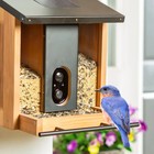 Evergreen Solar Smart Bird Feeder - Brand New - Free Shipping