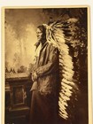 Antique Native American Indian Albumen Print  chief John Grass  By  D  F  Barry