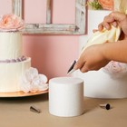 Foam Cake Dummies  4  6  8  10  Dummy Wedding Cake Rounds  14 4 Inches Tall