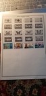 British Solomon Islands Rare Stamps Collection Idbt9 