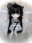 Custom Icy Doll Ooak Fashion Doll With Outfit Wig Hands