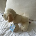 Ganz Webkinz Yellow Lab Plush Hm153 2006 Retired With Sealed Code