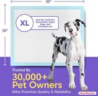 Petsworld Gigantic Dog Training   Potty Pads  36x36 Inch   150 Count