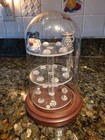 Vintage Glass Dome Display For Thimbles