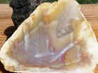 Tcr Stick Agate jasper lapidary Rough Slab 90 Grams  indonesia 