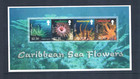 2 3 Off  15 50 Scott Value - 2006 Montserrat Anemones Sea Flower 2s s Mnh Nh Umm