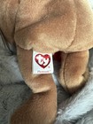 Ty Beanie Baby Plymouth The Bear Thanksgiving  Collectible Mint Condition W tags