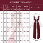 Burgandy Renaissance Dress Medieval Costume Fairy Cosplay With Accessories 3xl