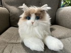 Weighted Therapy Companion Cat For The Elderly  Dementia Patients